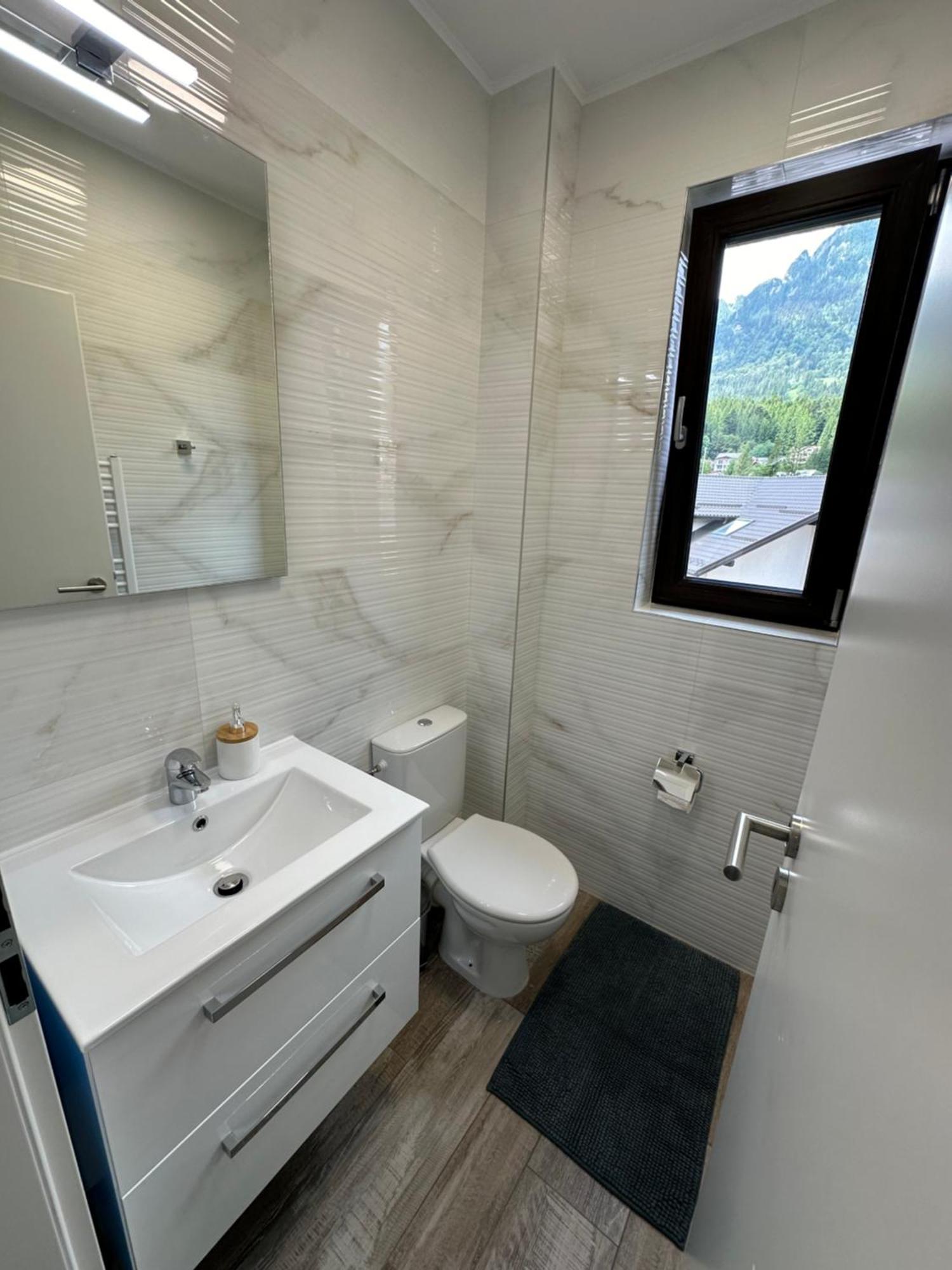 The View Apartment Buşteni Extérieur photo